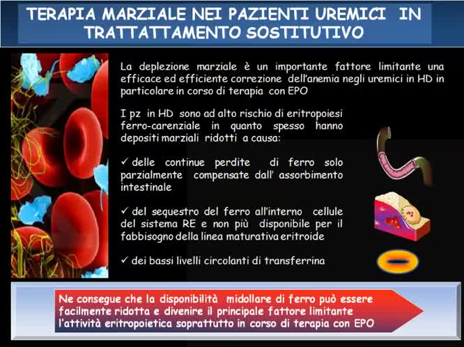 Terapia marziale nel paziente nefropatico