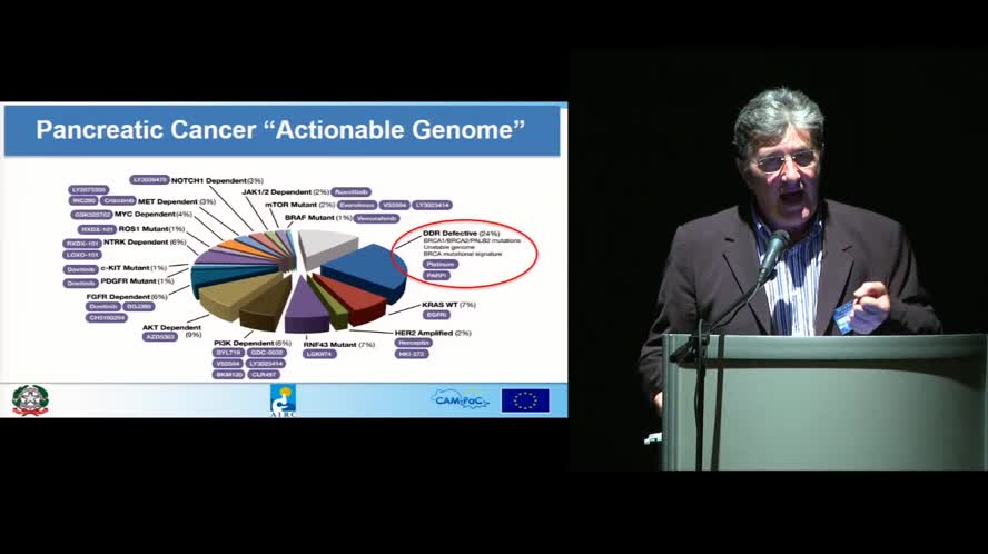The new frontiers of pathology in pancreatic cancer