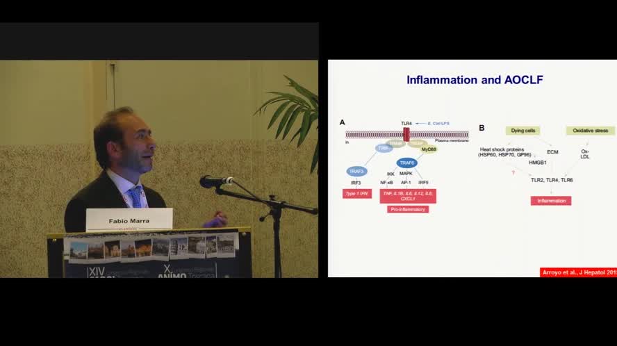 Insufficienza epatica acuta-su-cronica