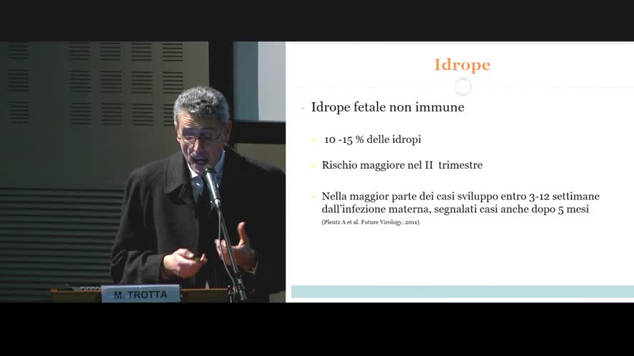 Parvovirus B19 in gravidanza