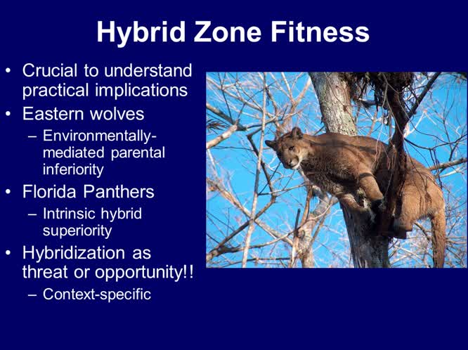 Genetic, morphologic, behavioral, and demographic consequences of hybridization between wolves and coyotes in Ontario, Canada: implications for conservation and management