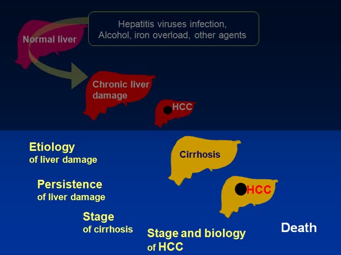 03 - Algoritmi Diagnostici stato dell' arte