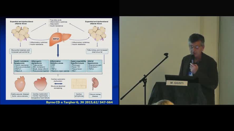Malattia steatosica e rischio cardiovascolare