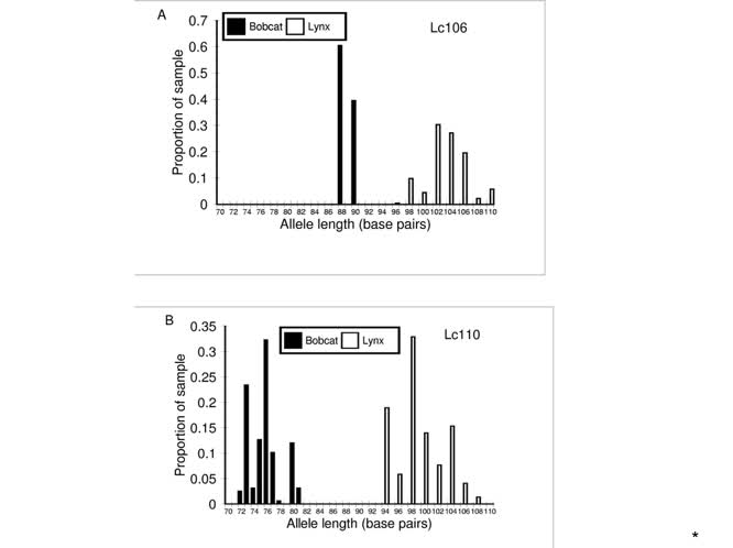 Introgression between domestic or captive species and their wild relatives: ecological causes and genetic consequences