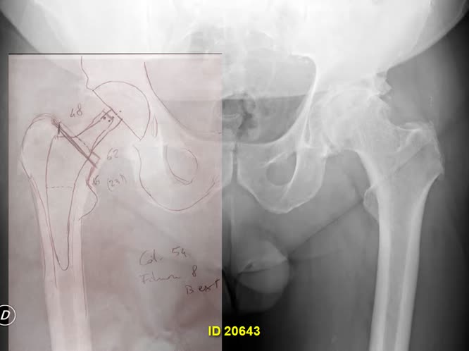 Lo stelo conservativo esperienza preliminare