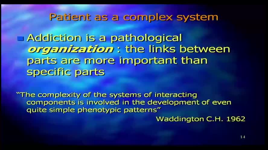 Psychopathological-cultural comprehension of addiction and the psychoterapeutic intervention