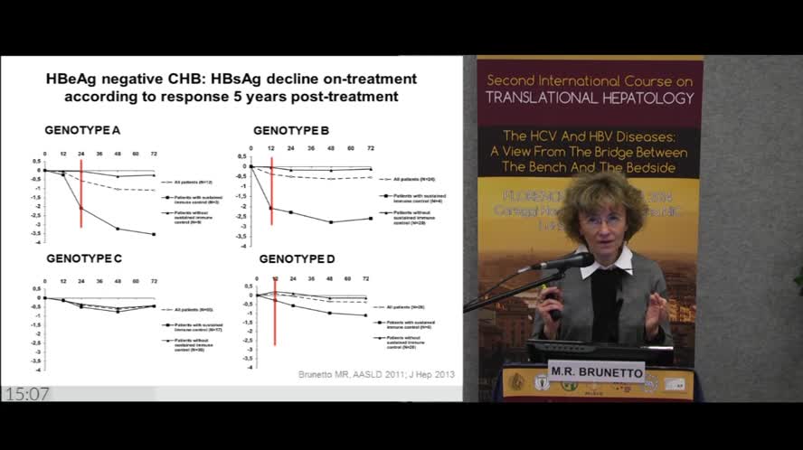 HBsAg quantification: a key tool in the assessment of HBV infection
