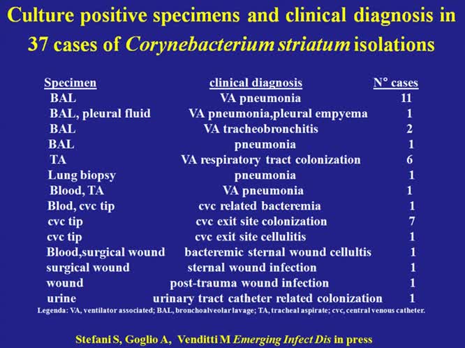 Le infezioni batteriche