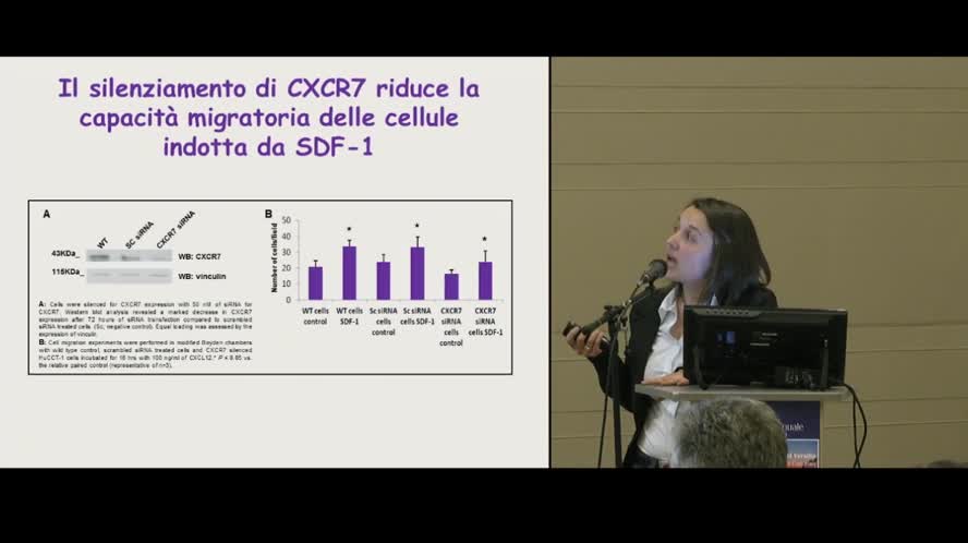 Ruolo dell' interazione tra CXCR7 e CXCL12 nel colangiocarcinoma: Un nuovo target terapeutico?