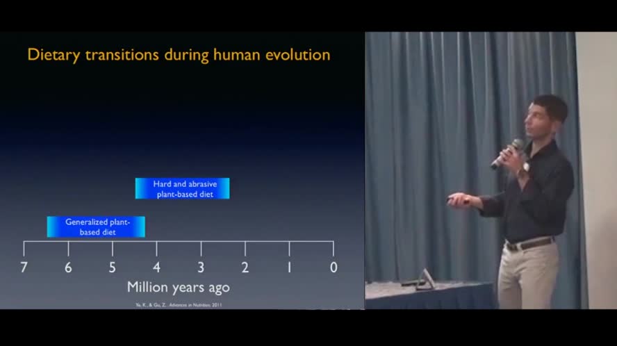 Food, metabolic syndrome and type II diabetes: role of bioactive molecules