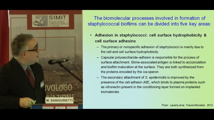 La biologia del Biofilm