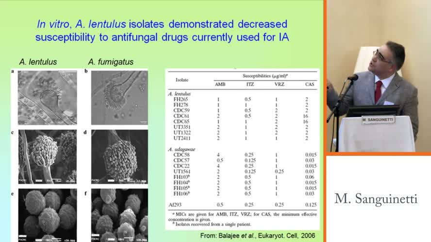 Epidemiologia e diagnosi infezioni fungine