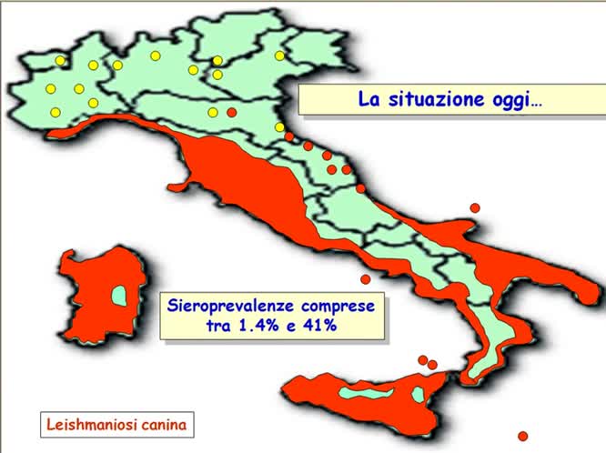 Eziologia ed Epidemiologia