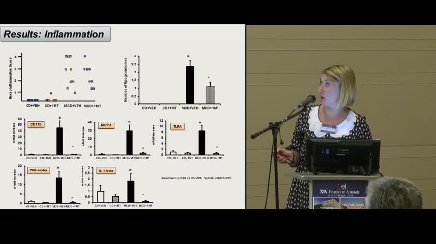 Indoleamine 2,3-dioxygenase in a murine model of steatohepatitis: New role of the kynurenine pathway