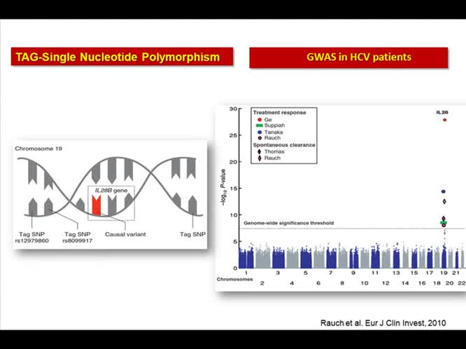 La personalizzazione del trattamento dell epatite C