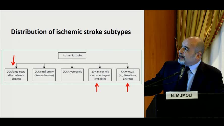 Diagnostica ultrasonografica nel paziente con stroke: indicazioni e timing appropriati