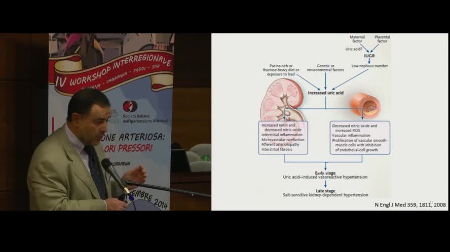 Uricemia con deposito di urati: rischio cardiovascolare e terapia