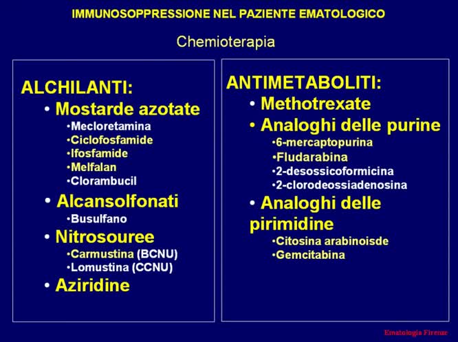 Il paziente ematologico