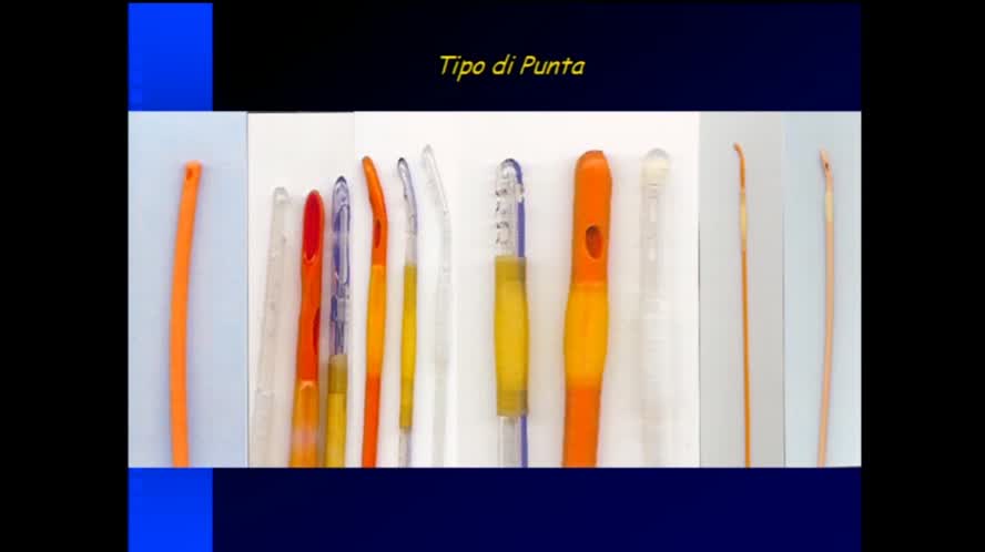 Infezioni renali e del tratto genito-urinario maschile