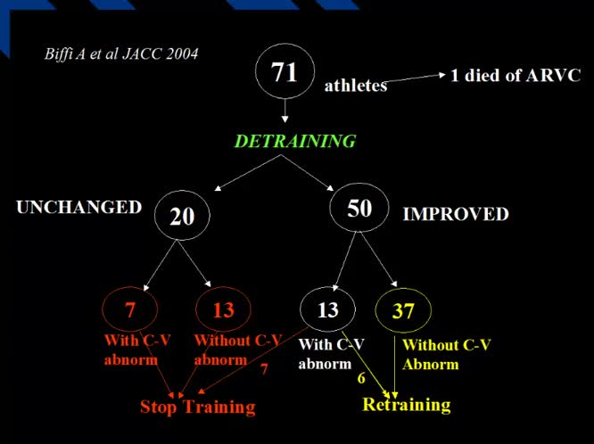 Aritmie ventricolari e malattie dei canali ionici nello sportivo