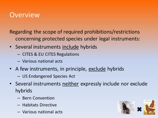Addressing hybridization between wild and domestic mammals  under international, European Union and national wildlife law