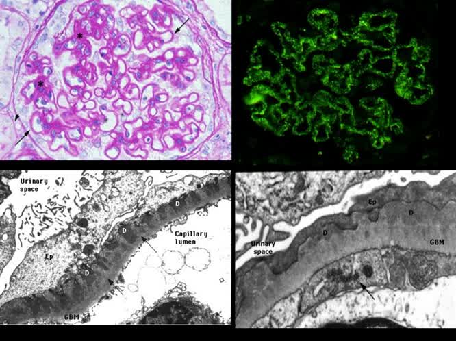 Introduzione generale (lo stato dell'arte)