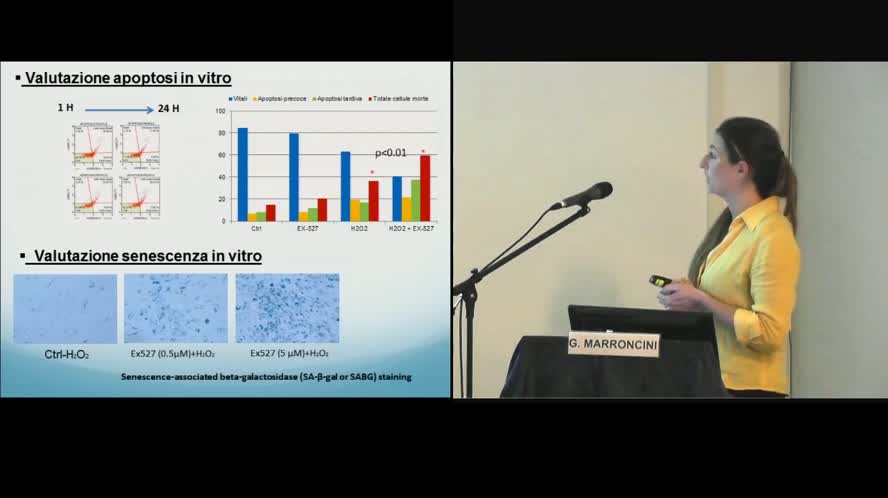 Sirt1 activation prevents apoptosis and senescence of hepatic stellate cells during liver injury