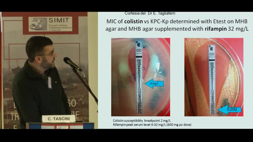 I Test di Sinergia in vitro