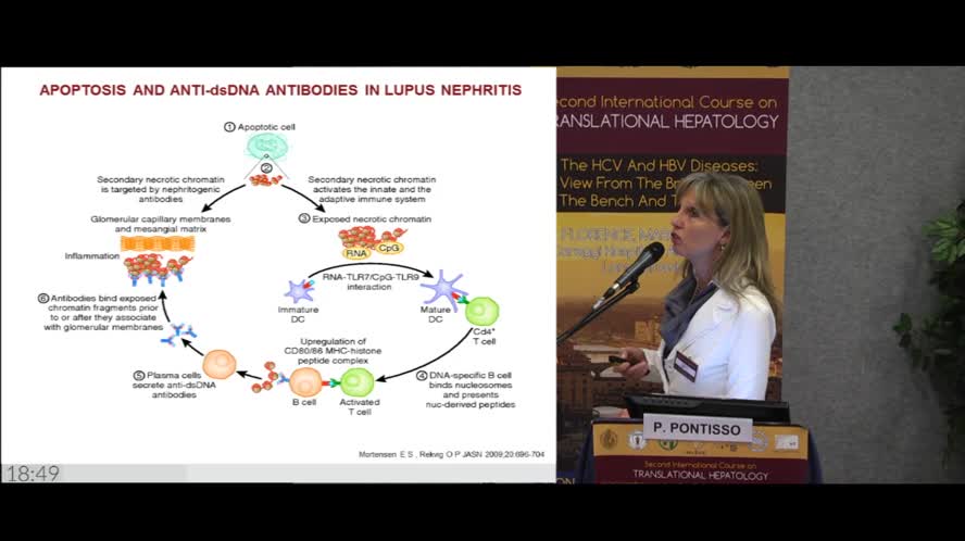 Serpins in HCV-related autoimmune and/or lymphoproliferative disorders