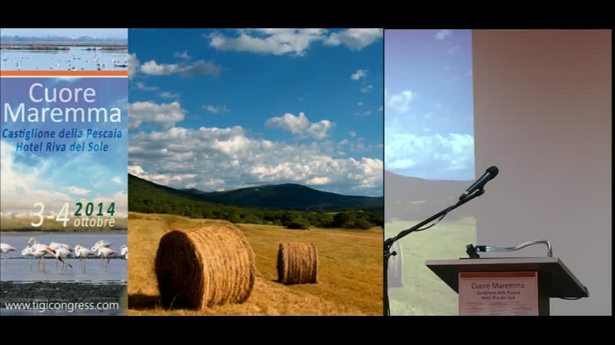 Cardiopatia ischemica cronica: c'è ancora spazio per la sola terapia medica?