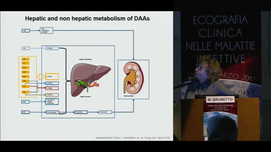 La terapia dell'epatite cronica C: stato dell'arte e prospettive future