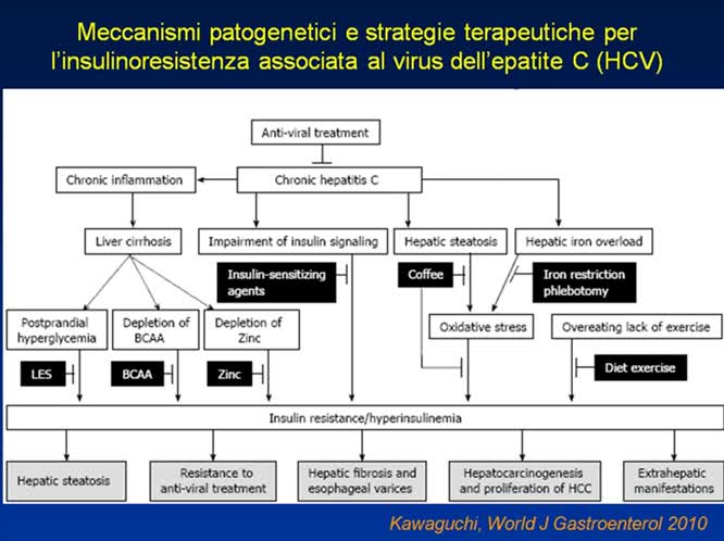 HCV, diabete e sindrome metabolica