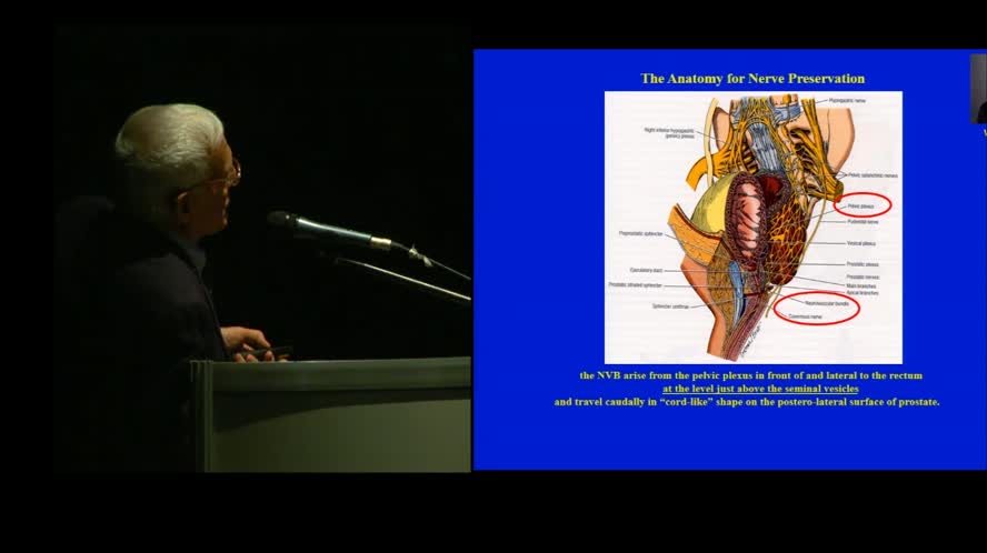 The anatomy of rectal surgery