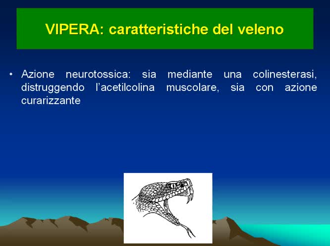 Il morso di vipera