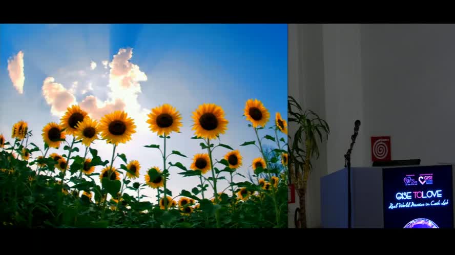 Utilizzo appropriato della PCI nei pazienti stabili