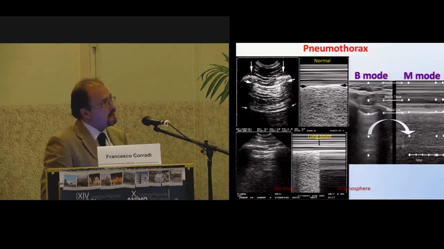 Organi di senso, fonendoscopio ed ultrasuoni: verso una nuova semeiotica