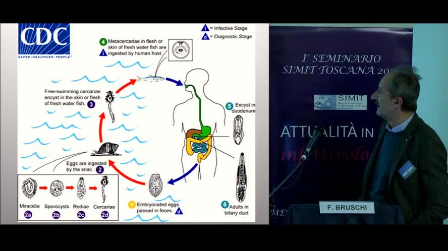 Parassitosi di origine alimentare
