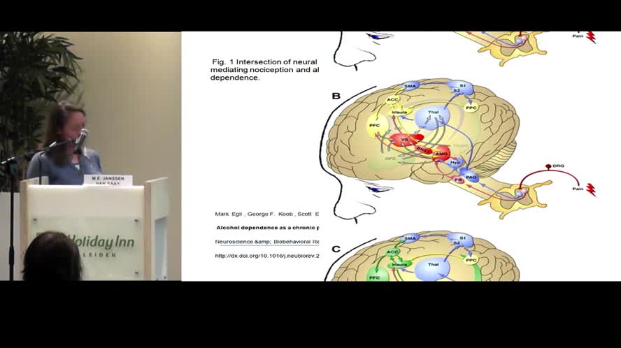 Pain and addiction a neurobiological exploration of a therapeutical conundrum