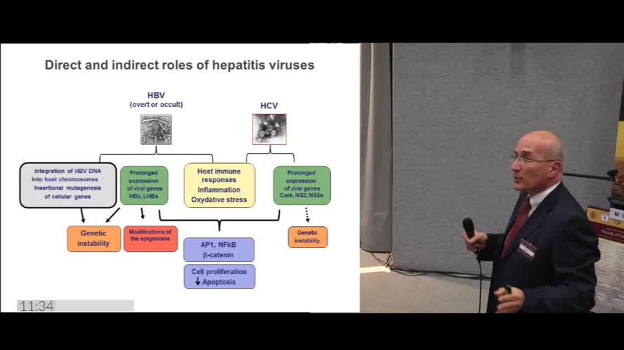 Molecular biology of HBV-related HCC and targeted therapies